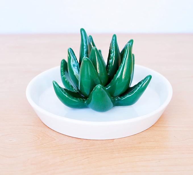 PUDDING CABIN Succulent Ring Holder Dish Cactus Gift for Women Birthday Gift for Mom Friend Bridesmaid Wedding Christmas Valentines Housewarming Gift, Decorative Cacti Decor for Home Gifts