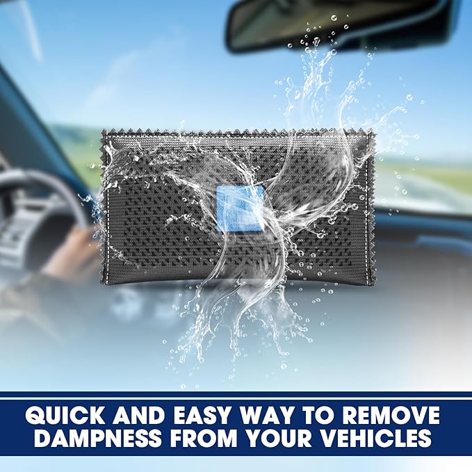 Timgle 10 Pcs 100g Rechargeable Desiccant Packs for Storage Silica Gel Packets Dry Moisture Absorbers Bags Reusable Desiccant Car Dehumidifiers Bag for Closet Home Car Moisture Absorbing