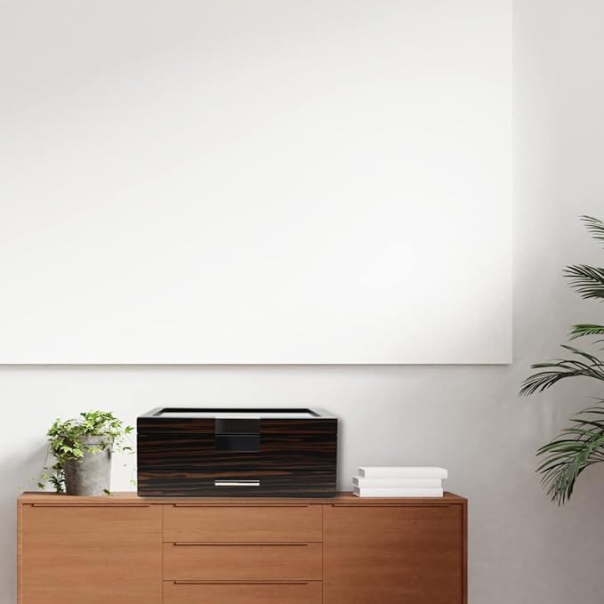 Luxury Watch, Sunglasses and Jeweler Display Case and Organizer (Emerald Love)