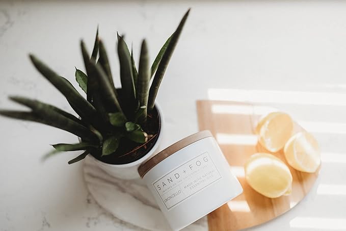 Sand + Fog Scented Candle - Pumpkin Chai – Additional Scents and Sizes – 100% Cotton Lead-Free Wick - Luxury Air Freshening Jar Candles - Perfect Home Decor – 12oz