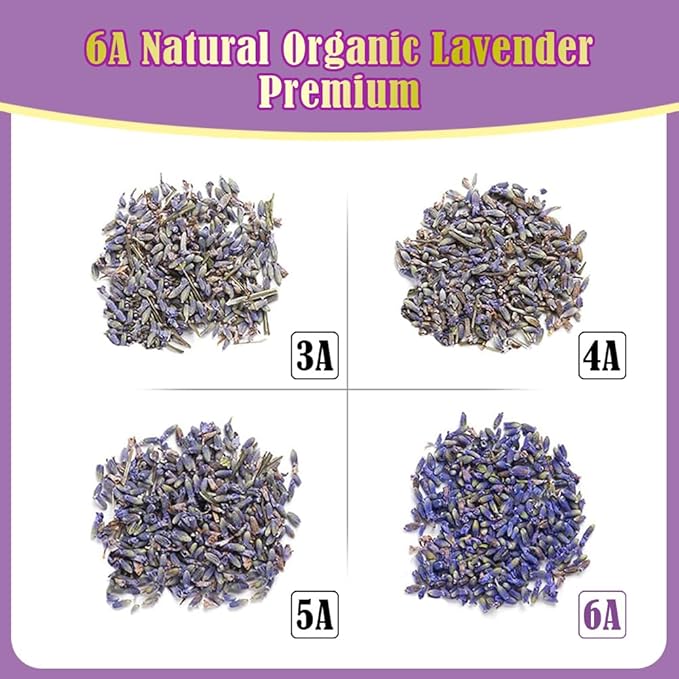 Cedar Space Lavender Sachet bags for drawers and closets,16 Lavendar Sachet Bags,Filled with Premium Grade Dried Lavender,Bridal Shower Favors,Home Fragrance sachet packets,Closet Deodorizer Freshener