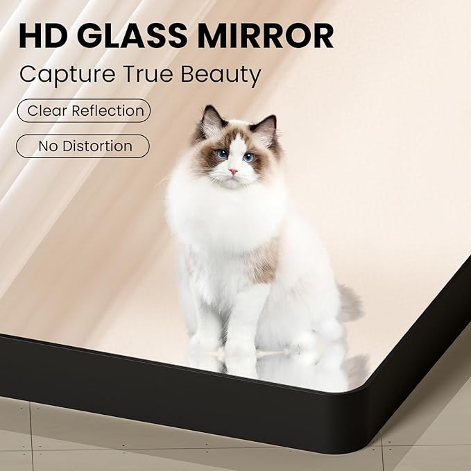 22x31 Inch Black Bathroom Mirror, Rounded Rectangle Matte Framed Wall Mounted Mirror, Bathroom Vanity Mirror, Tempered Glass, Anti-Rust, Horizontal/Vertical...