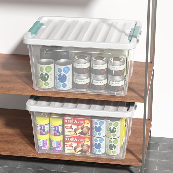 Ramddy 32 Quart Clear Storage Bin with Lid, 6-Pack Plastic Storage Box