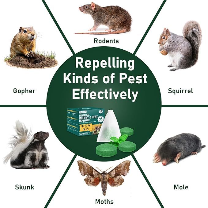 Peppermint Oil Moth Balls for Rodents Deterrent‌ 42 Pack – Natural Mice & Rat Repellent for Indoor/Outdoor Use, Safe for Pets & Humans, Long-Lasting Pest Repellent for Squirrels, Skunks, Chipmunks‌