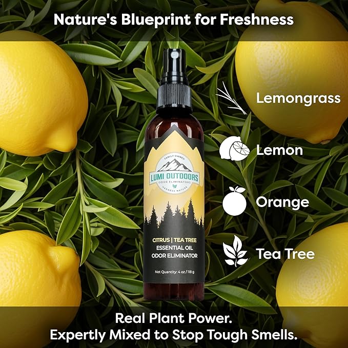Lumi Outdoors Natural Shoe Deodorizer Spray 3 Pack Bundle - Lemon Eucalyptus, Citrus Tea Tree, Lavender Tea Tree