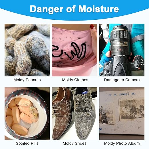 Moisture Absorbers, 20G 75 Pack Premium Transparent Desiccant for Storage, Silica Gel Desiccant Packets (20G, 75)