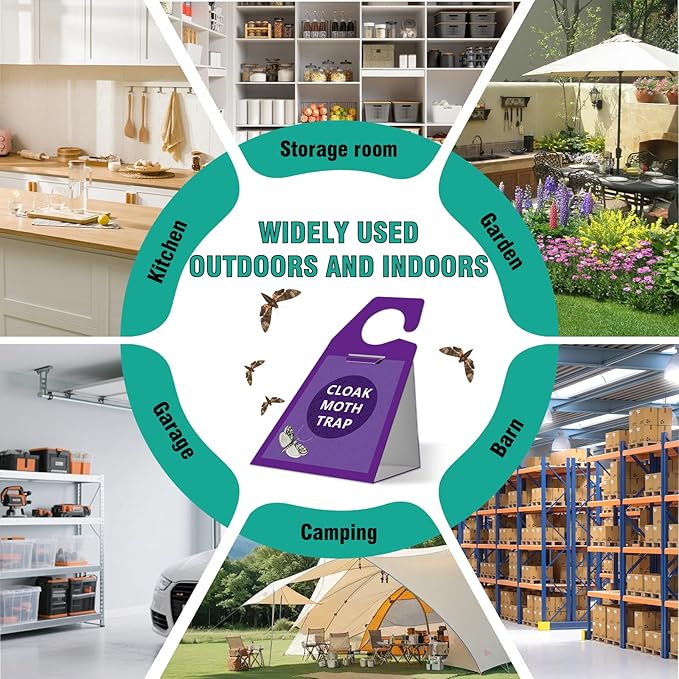 Clothes Moth Traps 6 Pack, Extra Strength Sticky Glue and Pheromone Glue Traps, No Toxic Odorless Sticky Moth Repellent with Food Closets Carpet Garden Barn Kitchen Wool Carpet Cupboard,Purple