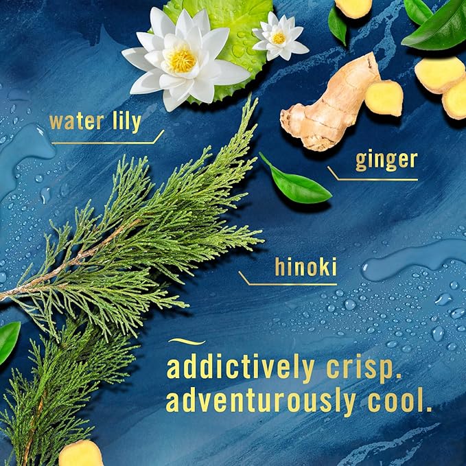 Febreze Touch Fabric Spray, Air Freshener, Odor-Fighting Fabric Refresher, Couch and Linen Spray, Sneaker Balls Alternative, Ocean and Mountain Scent, Multicolor, 16.9oz, 2ct