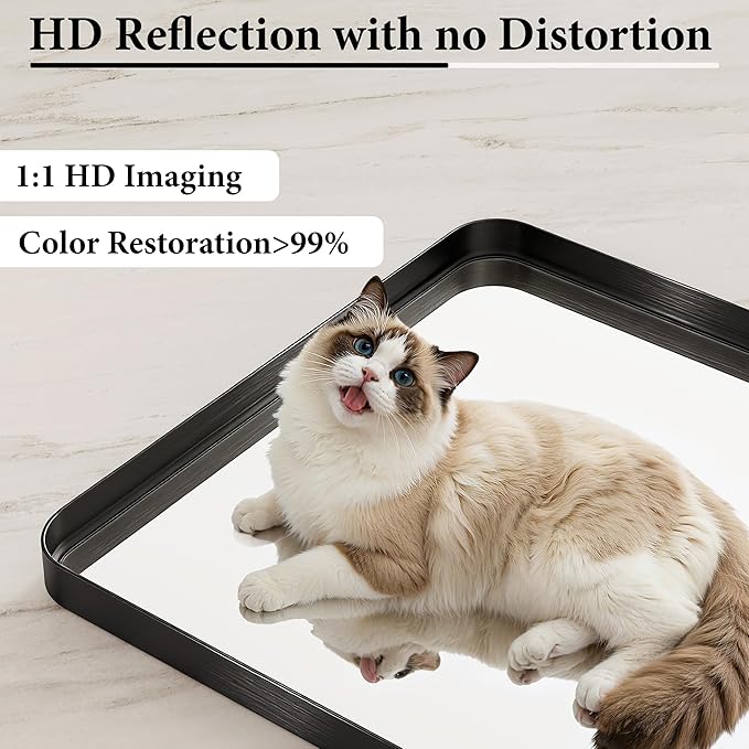 Bathroom Mirror for Wall, 30 Inch Square Mirror, Matte Black Metal Framed Square Vanity Mirror for Bathroom Bedroom Living Room Entryway, Anti-Rust, Tempered Glass, Hanging or Leaning