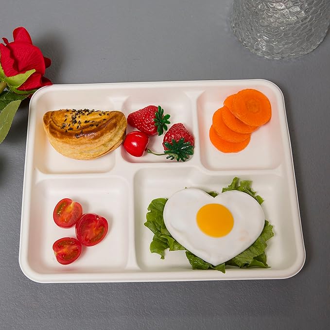 Small and Shallow 10.25 * 8.25inch 5 Compartment Plates 125pack, Disposable 5 Section eco friendly Sugarcane Divided Plates,School Lunch Tray And Disposable Plates With Compartment