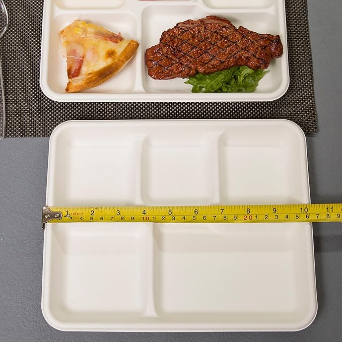 Small and Shallow 10.25 * 8.25inch 5 Compartment Plates 125pack, Disposable 5 Section eco friendly Sugarcane Divided Plates,School Lunch Tray And Disposable Plates With Compartment