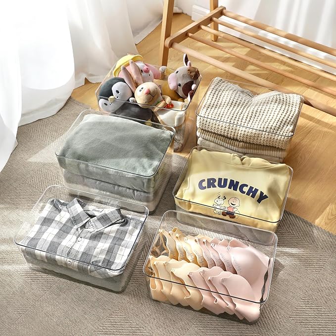 2 Large Lidded Plastic container, Clear Stackable Storage Boxes for Cabinets, Organization and Storage for Shelves Office Bathroom Kitchen (2Large)