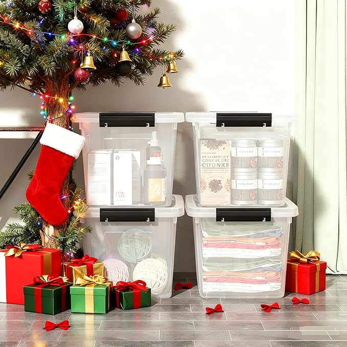 4 Pack Plastic Storage Boxes, Lidded Storage Bins with Handle, 20L, Clear