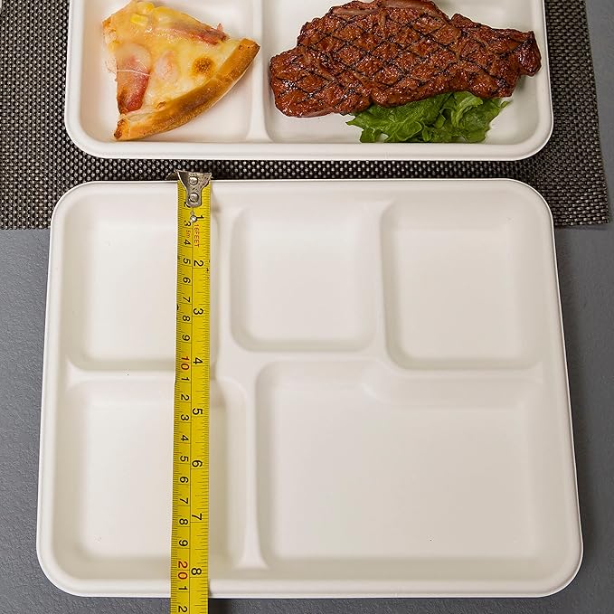 Small and Shallow 10.25 * 8.25inch 5 Compartment Plates 125pack, Disposable 5 Section eco friendly Sugarcane Divided Plates,School Lunch Tray And Disposable Plates With Compartment